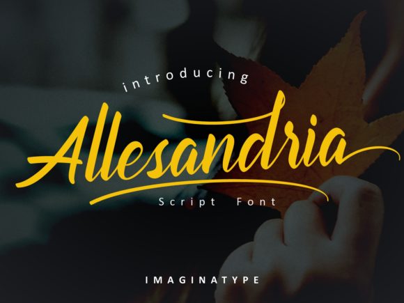 Allesandria Font Review for Makers