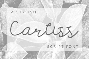 Carllis Font: Elevate Campaign Visuals with Style