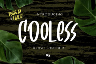 Cooless Font Review for Modern Branding