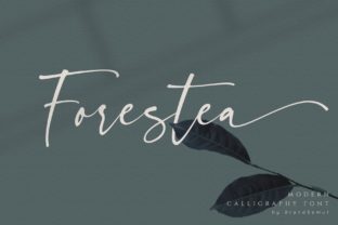 Forestea Typeface Review for Modern Branding