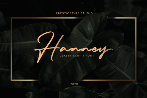 Hanney: A Script Handwritten Font for Branding