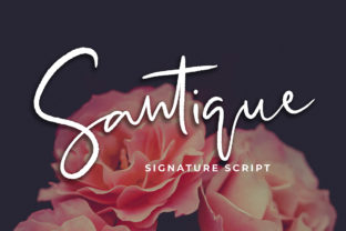 Santique: A Magical Script Handwritten Font for Web Design