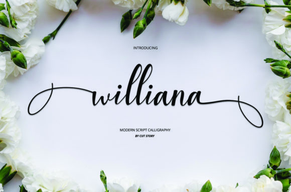 Williana: A Modern Script Font for Editorial Design